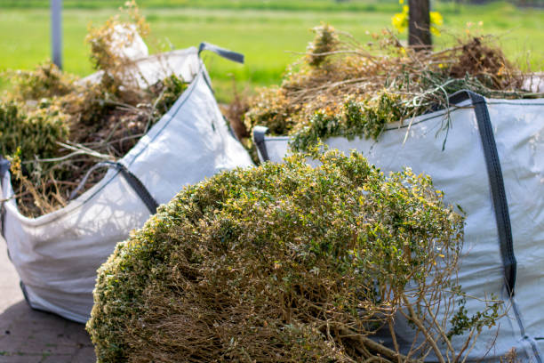 Best Appliance Removal Near Me  in Warren, MN