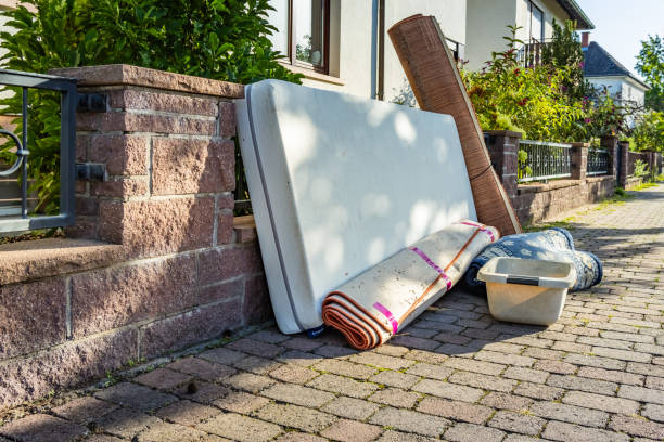Best Yard Waste Removal  in Warren, MN